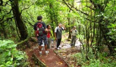 Hiking Tour of Volcano Mombacjo